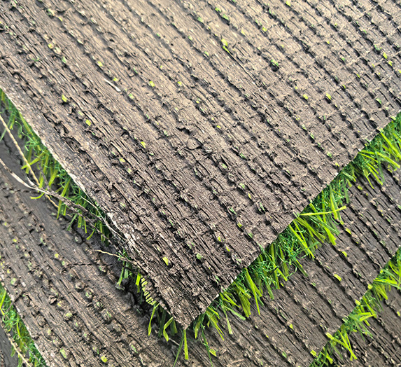 ASmall grass